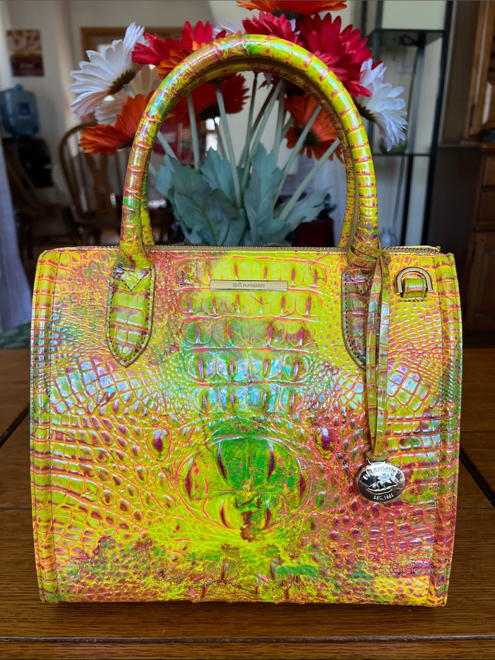 Brahmin Small Caroline Satchel in Spritz Melbourne Iridescent: Carried One Week